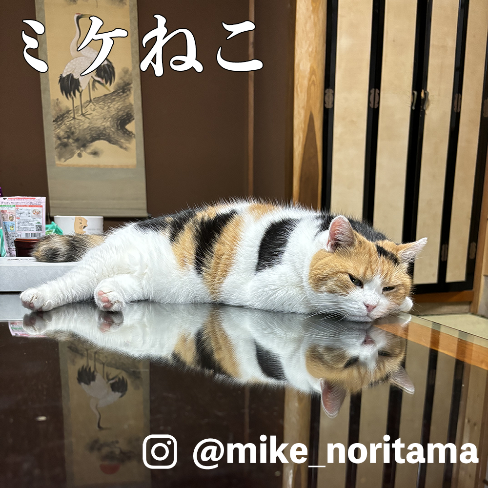 ミケねこ – 俺の推し ミケねこ – 俺の推し
