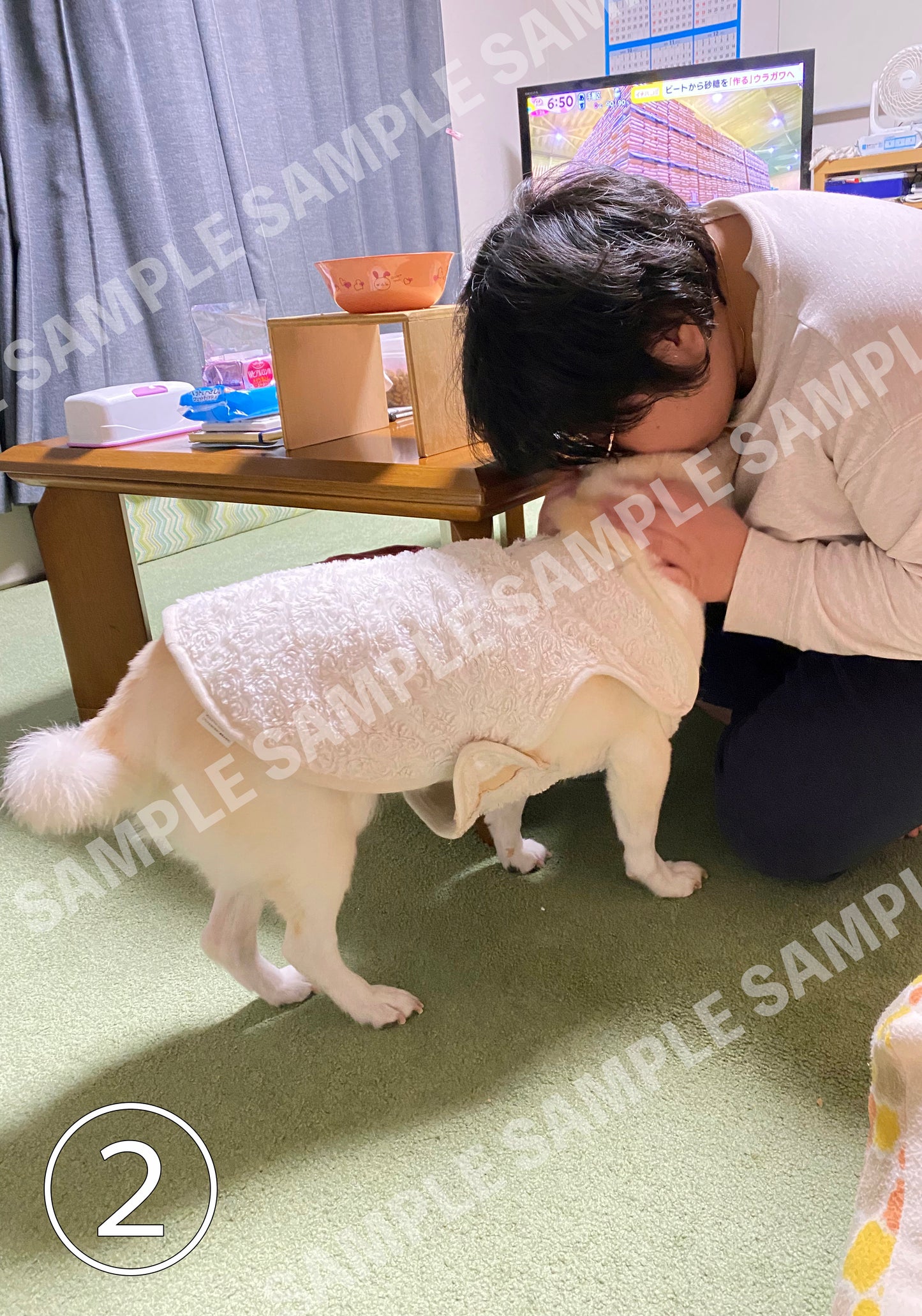 そばに小梅 白柴小梅 フォトフレームセット