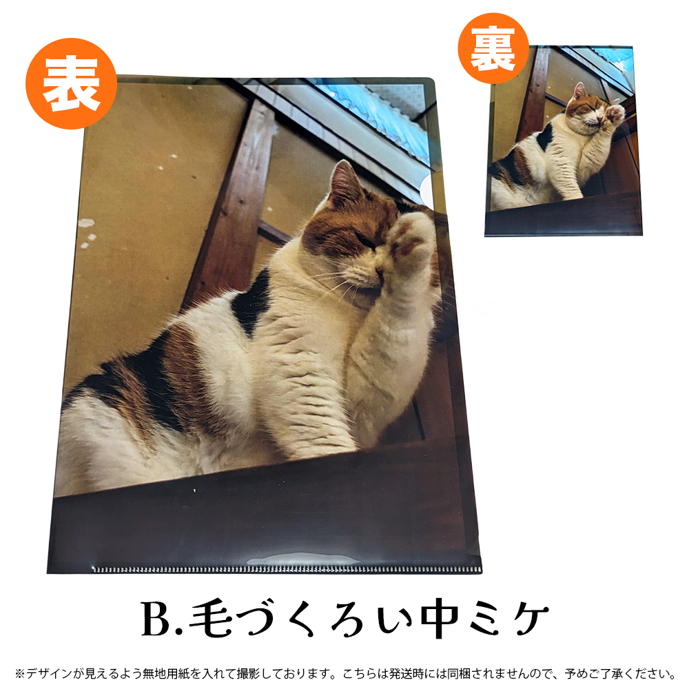 【予約販売】猫の手も借りたい?!クリアファイル