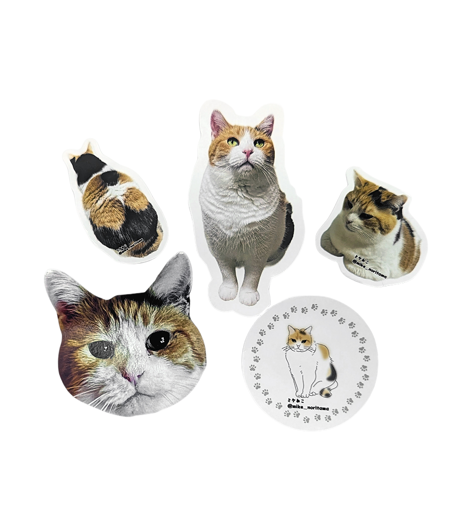 数量限定】ミケがいっぱいステッカー – 俺の推し