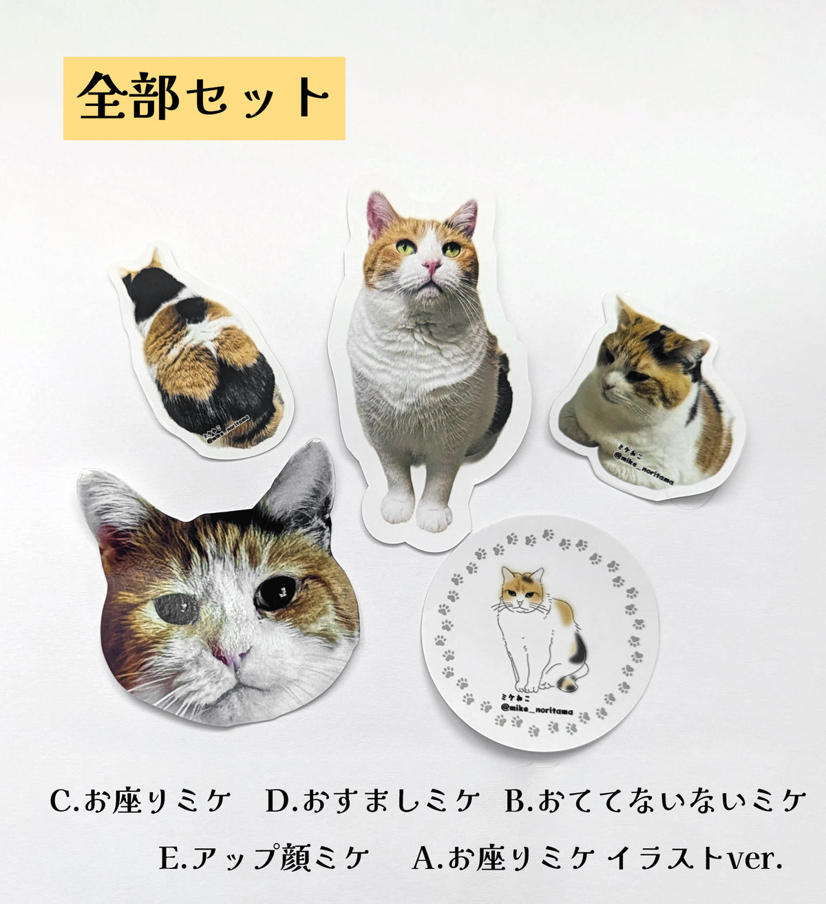 【預約販售】滿滿三花貓貼紙