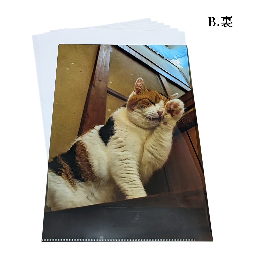 【予約販売】猫の手も借りたい?!クリアファイル