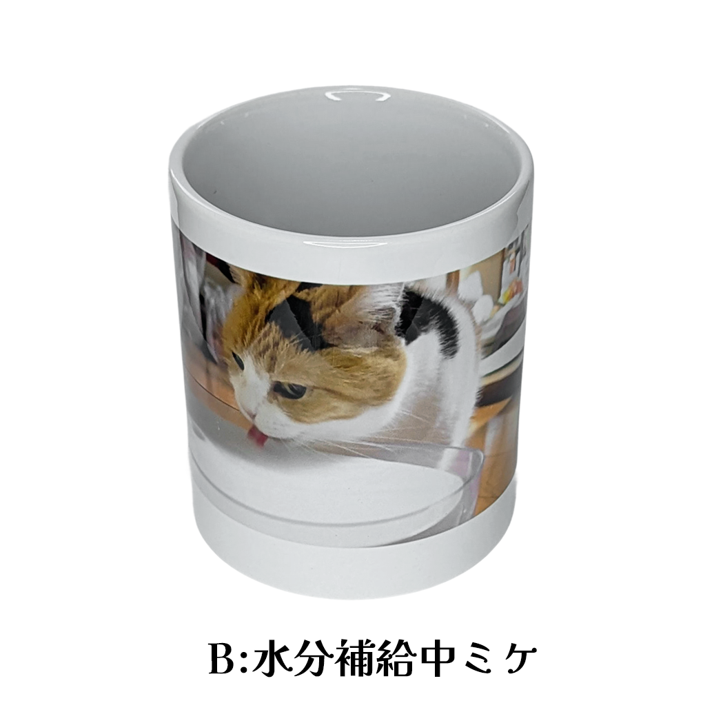 【数量限定】いつでもミケと一緒 マグカップ