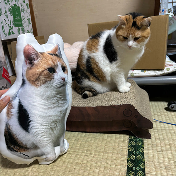 ミケねこおうちタイムクッション