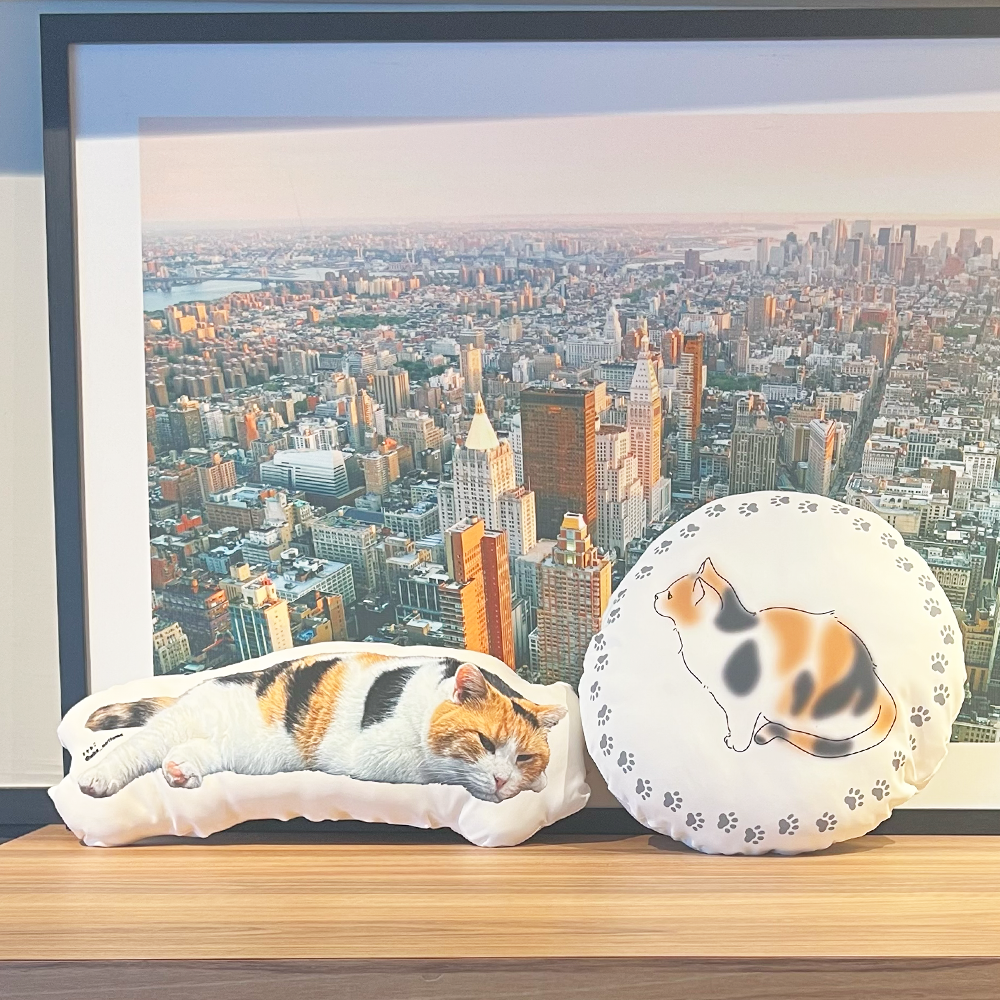 [Pre-order] Fluffy Miké Cushion