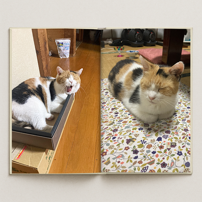 [Pre-order item] Mieke's Daily Life Photo Book
