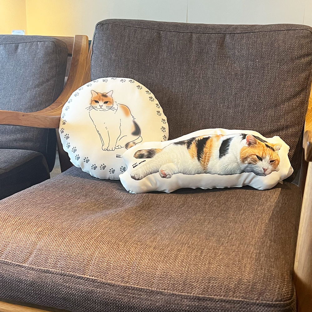 [Pre-order] Fluffy Miké Cushion