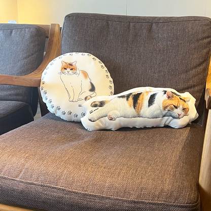 [Pre-order] Fluffy Miké Cushion