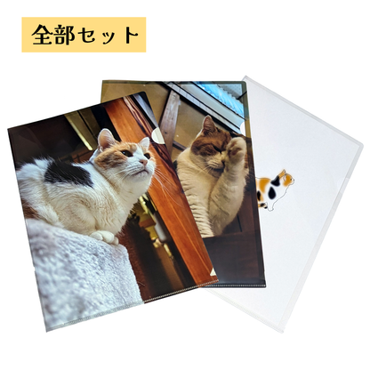 【予約販売】猫の手も借りたい?!クリアファイル