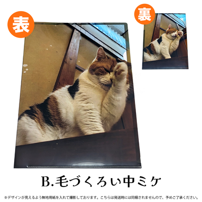 【予約販売】猫の手も借りたい?!クリアファイル