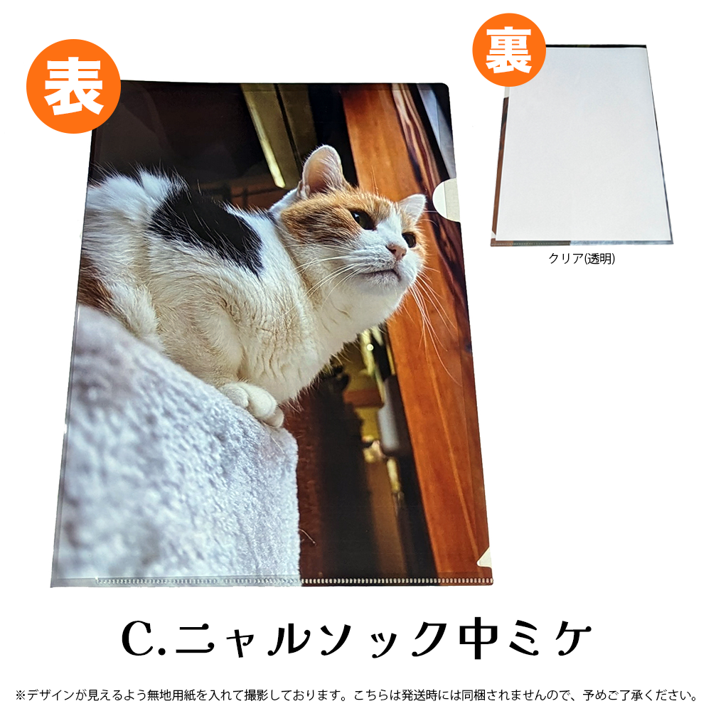 【予約販売】猫の手も借りたい?!クリアファイル