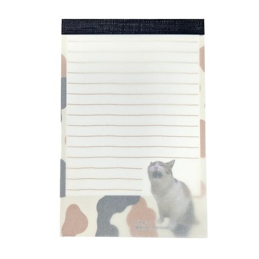 [Pre-order] I want to deliver a message! Miki's Memo Pad