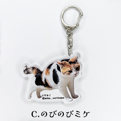 [Pre-order] Always Together! Second Series Acrylic Keychains再試行