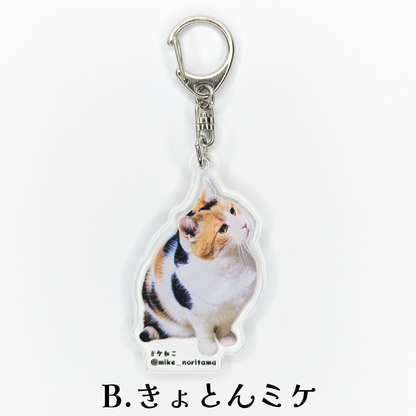 [Pre-order] Always Together! Second Series Acrylic Keychains再試行