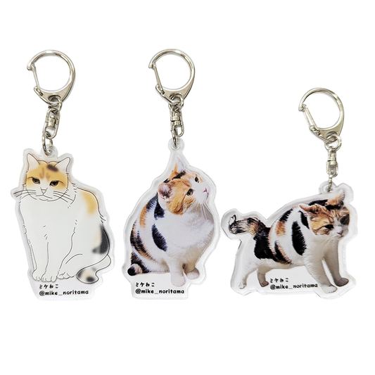 [Pre-order] Always Together! Second Series Acrylic Keychains再試行