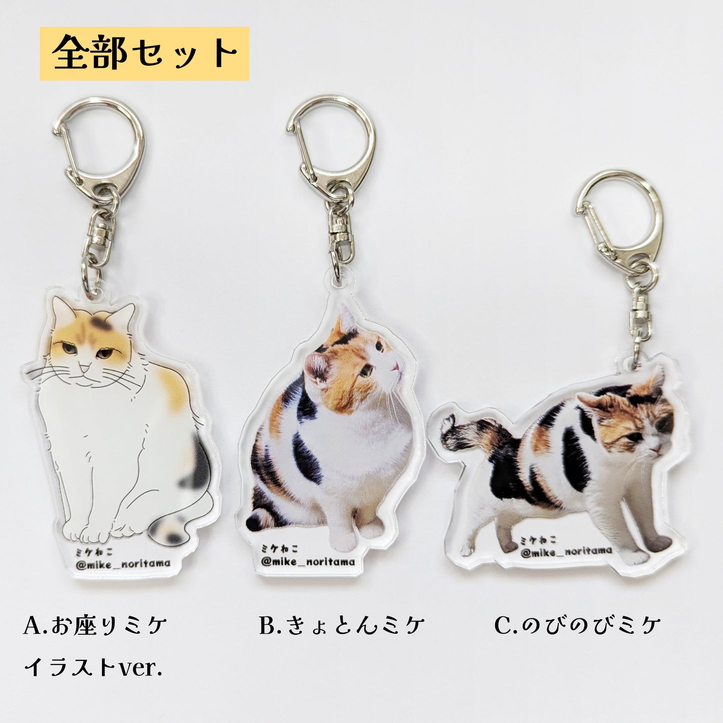 [Pre-order] Always Together! Second Series Acrylic Keychains再試行