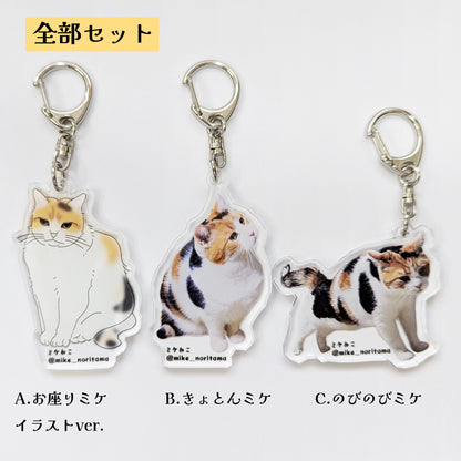 [Pre-order] Always Together! Second Series Acrylic Keychains再試行