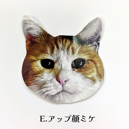 [Pre-order] Sticker with lots of Miké (a cat breed)