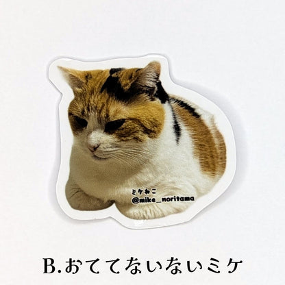 [Pre-order] Sticker with lots of Miké (a cat breed)