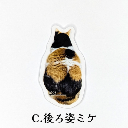 [Pre-order] Sticker with lots of Miké (a cat breed)