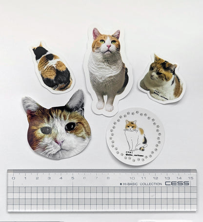 [Pre-order] Sticker with lots of Miké (a cat breed)