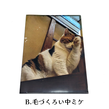 【予約販売】猫の手も借りたい?!クリアファイル
