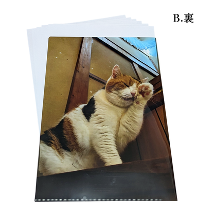 【予約販売】猫の手も借りたい?!クリアファイル