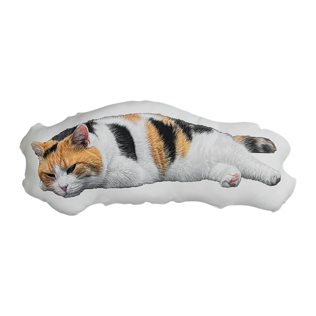 [Pre-order] Fluffy Miké Cushion