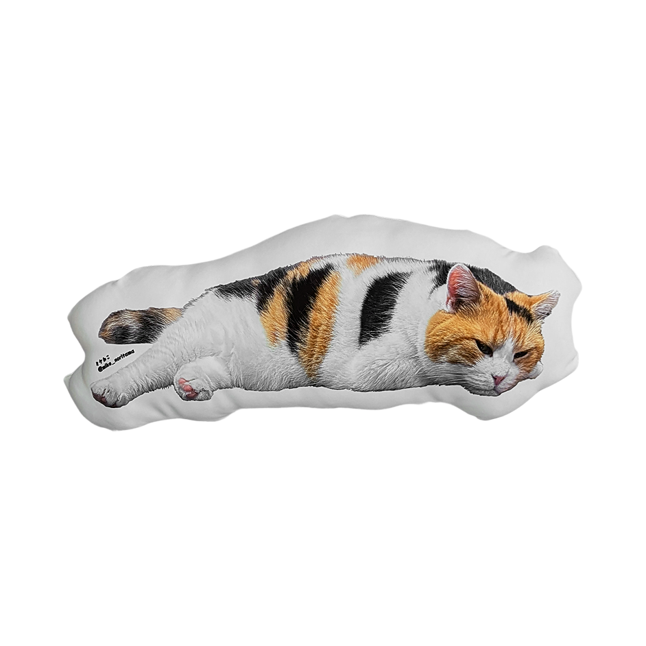 [Pre-order] Fluffy Miké Cushion