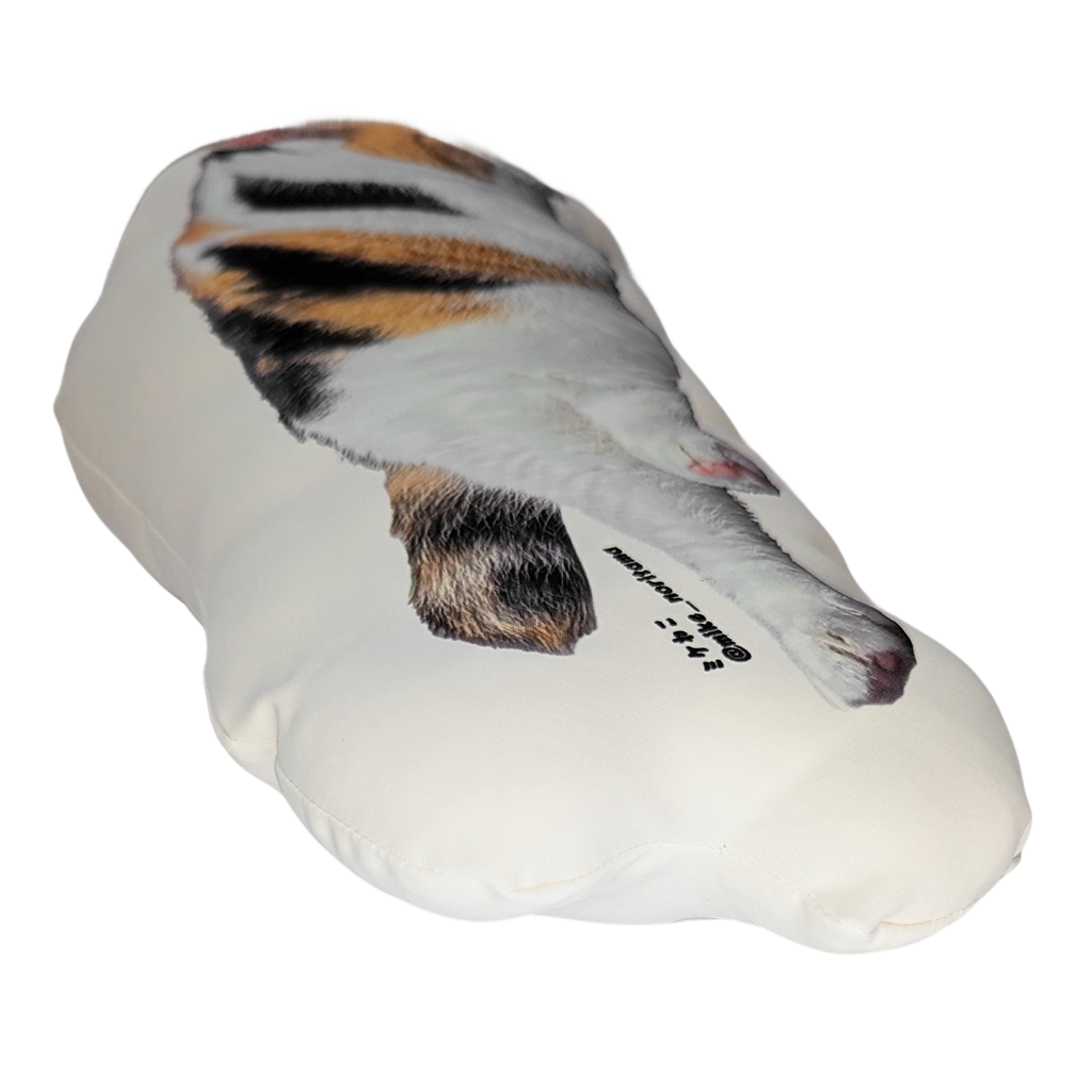 [Pre-order] Fluffy Miké Cushion