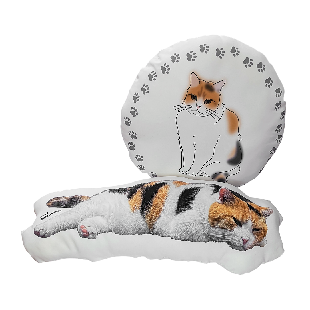[Pre-order] Fluffy Miké Cushion