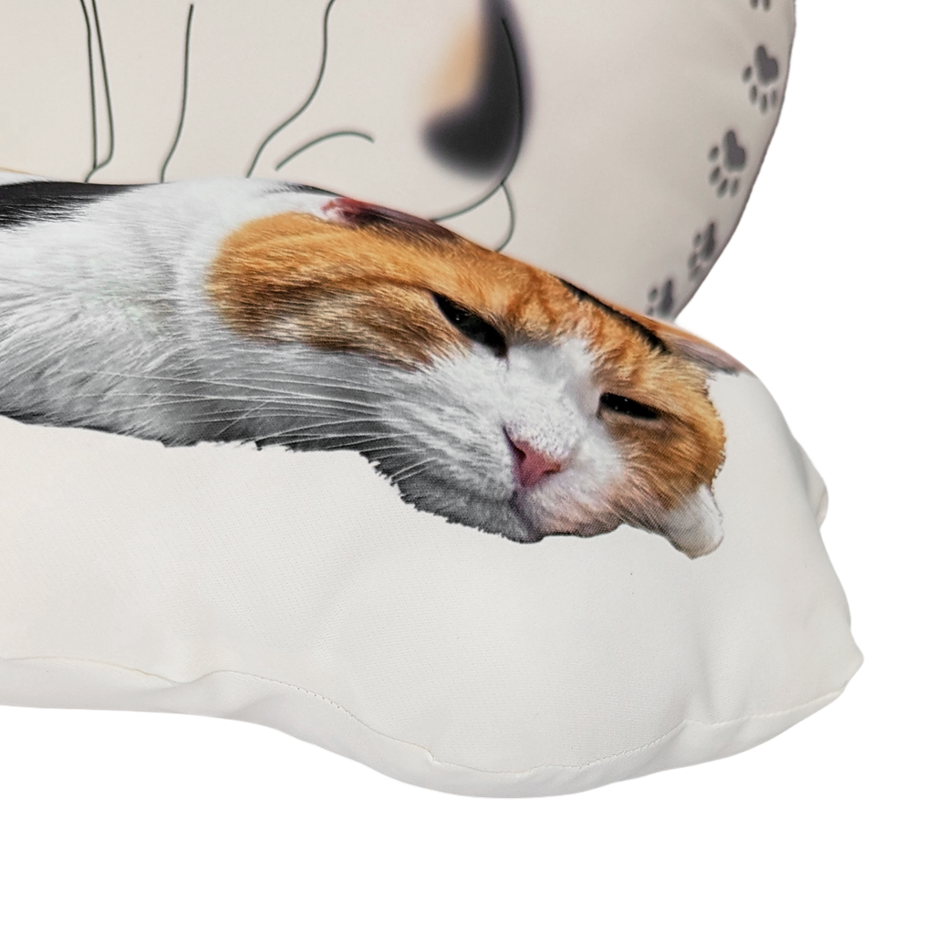[Pre-order] Fluffy Miké Cushion