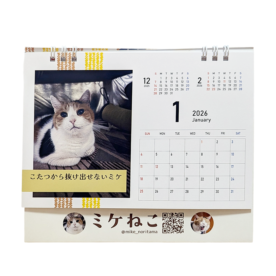 [Pre-order] Everyday Calico Cat: A Heartwarming Calendar 2026
