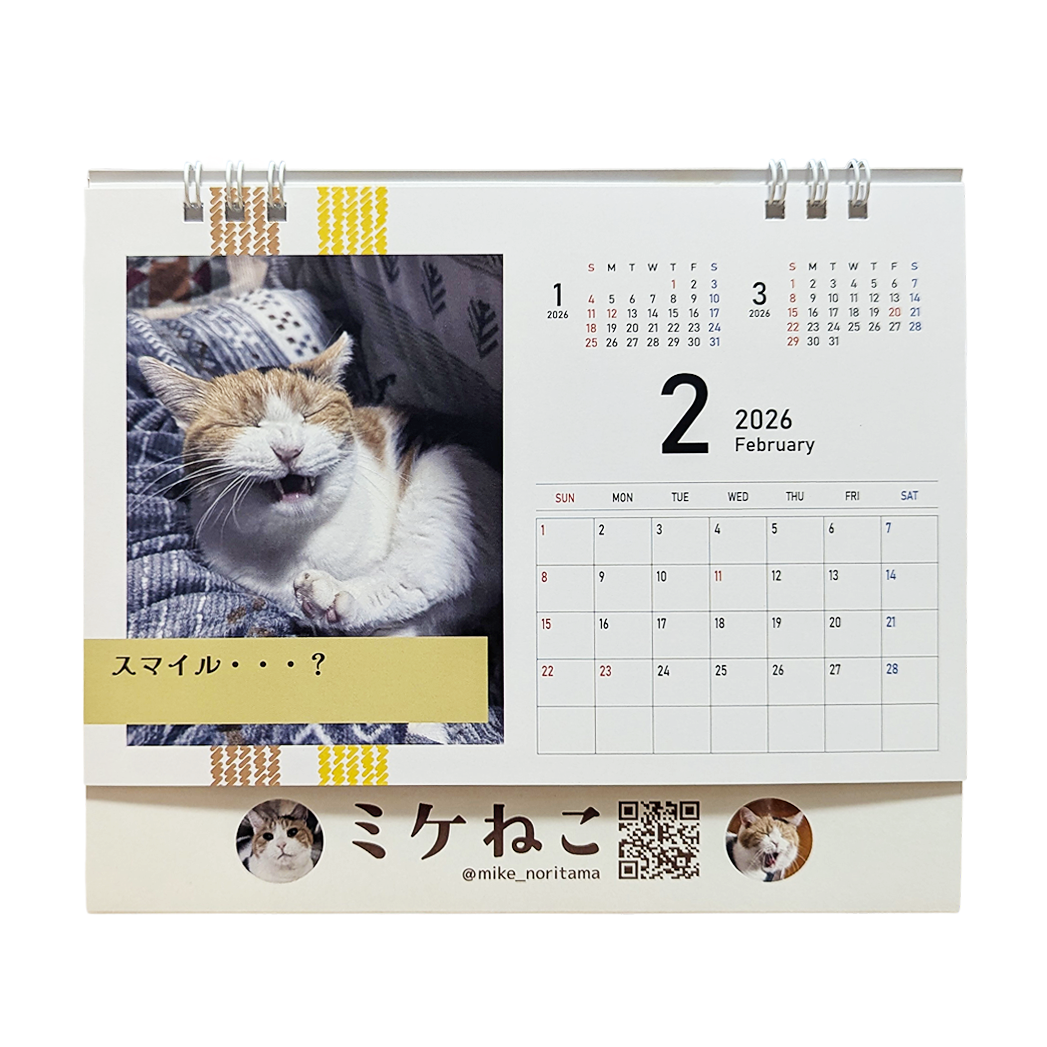 [Pre-order] Everyday Calico Cat: A Heartwarming Calendar 2026