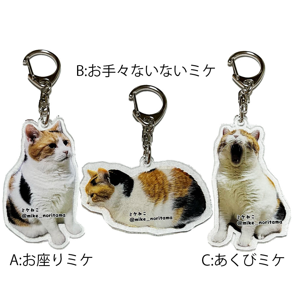 【販売終了】いつでも一緒！アクリルキーホルダー