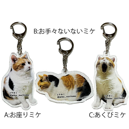 【販売終了】いつでも一緒！アクリルキーホルダー