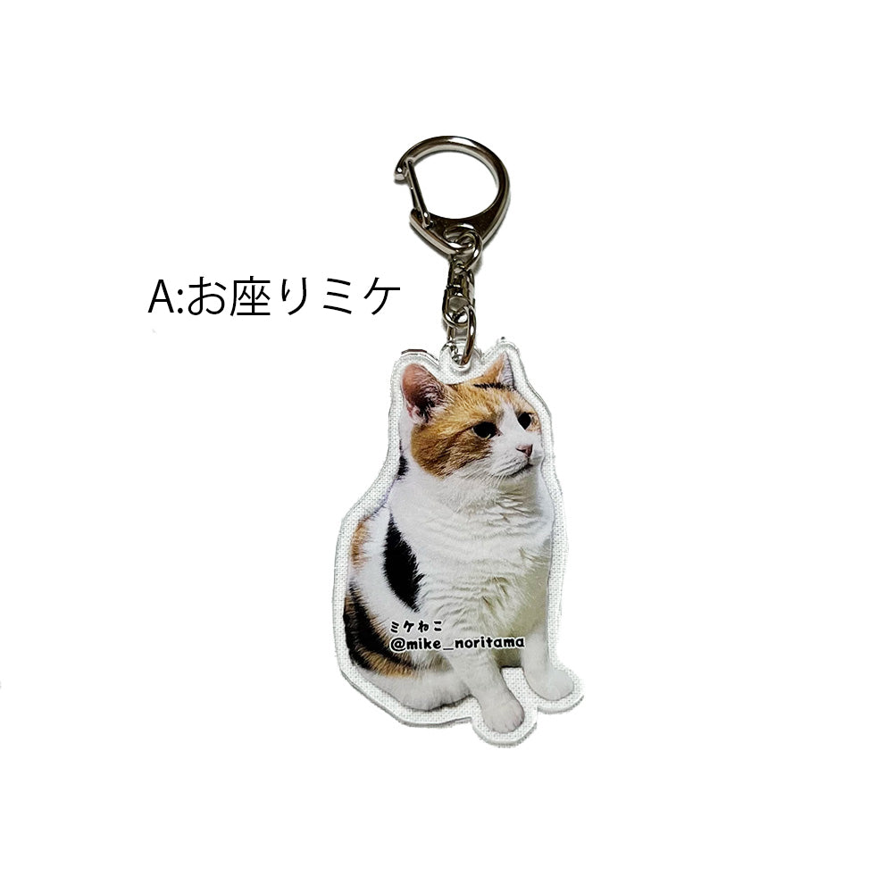 【販売終了】いつでも一緒！アクリルキーホルダー