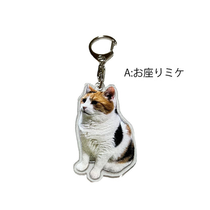 【販売終了】いつでも一緒！アクリルキーホルダー