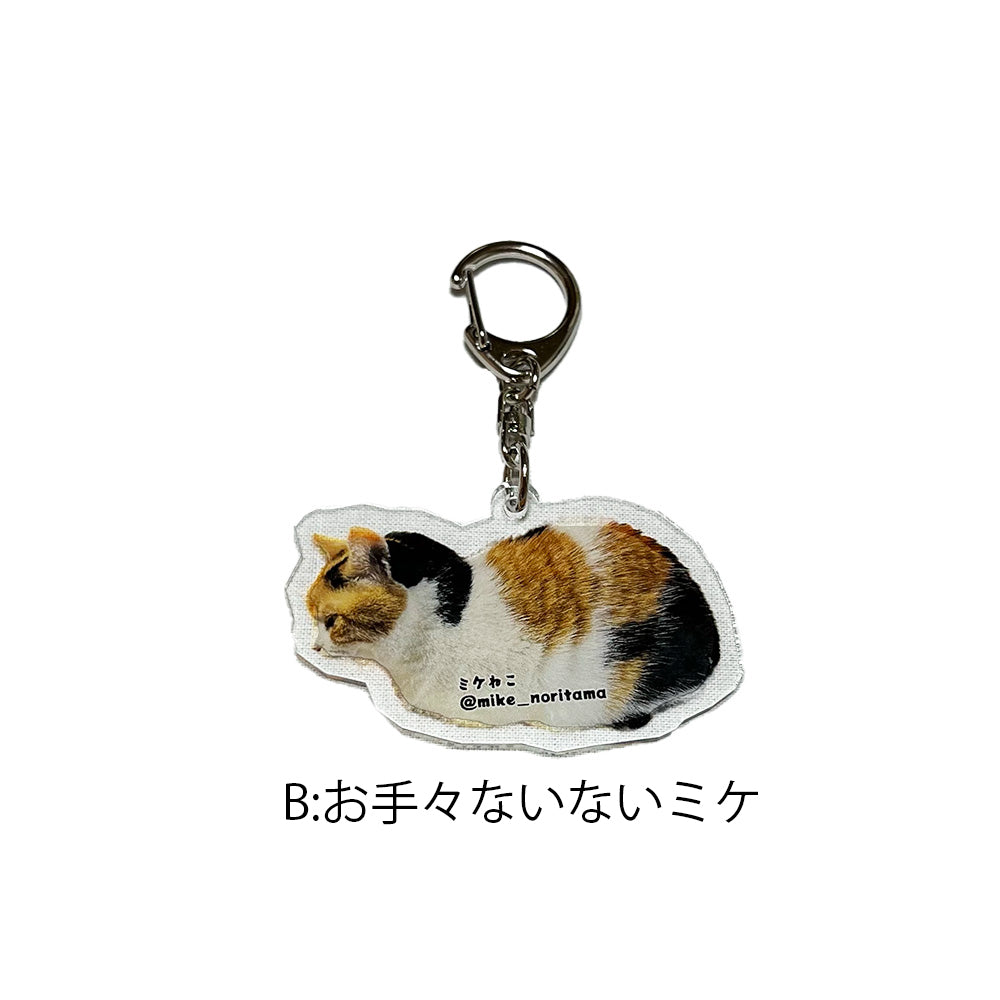 【販売終了】いつでも一緒！アクリルキーホルダー