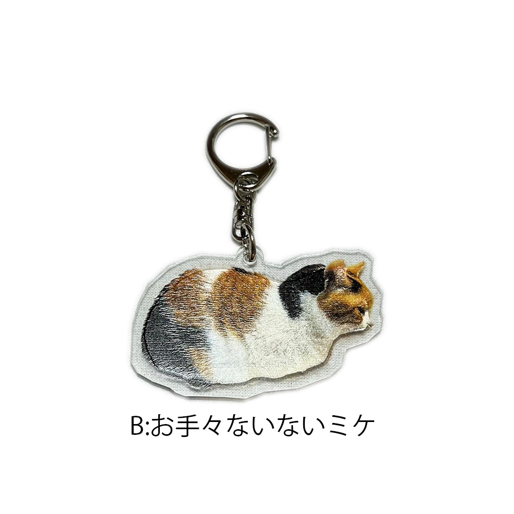 【販売終了】いつでも一緒！アクリルキーホルダー