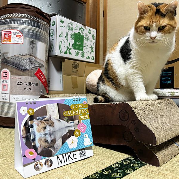 【販売終了】ふだんのミケねこ 心がほっこりするカレンダー2025