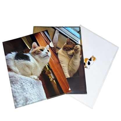 【予約販売】猫の手も借りたい?!クリアファイル