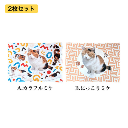 ひざの上でぬくぬく ミケのブランケット 集合写真（セット表示）