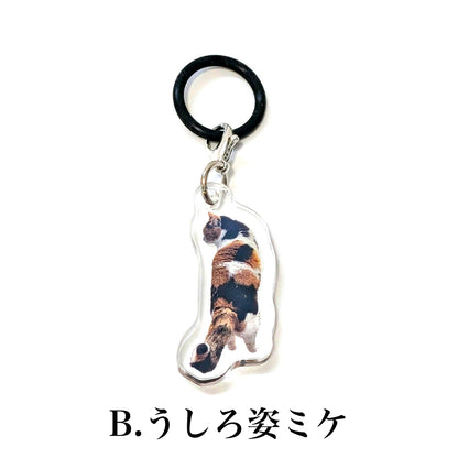 わたしの目印はミケ！アンブレラマーカー2個セット B:うしろ姿ミケ 表