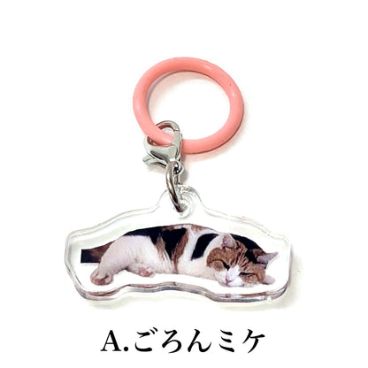 わたしの目印はミケ！アンブレラマーカー2個セット A:ごろんミケ 表