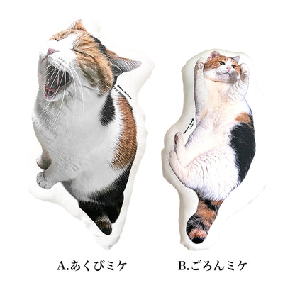 あくび＆ごろん ふかふかミケクッション 集合写真